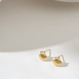 Shell earrings in gold on white background