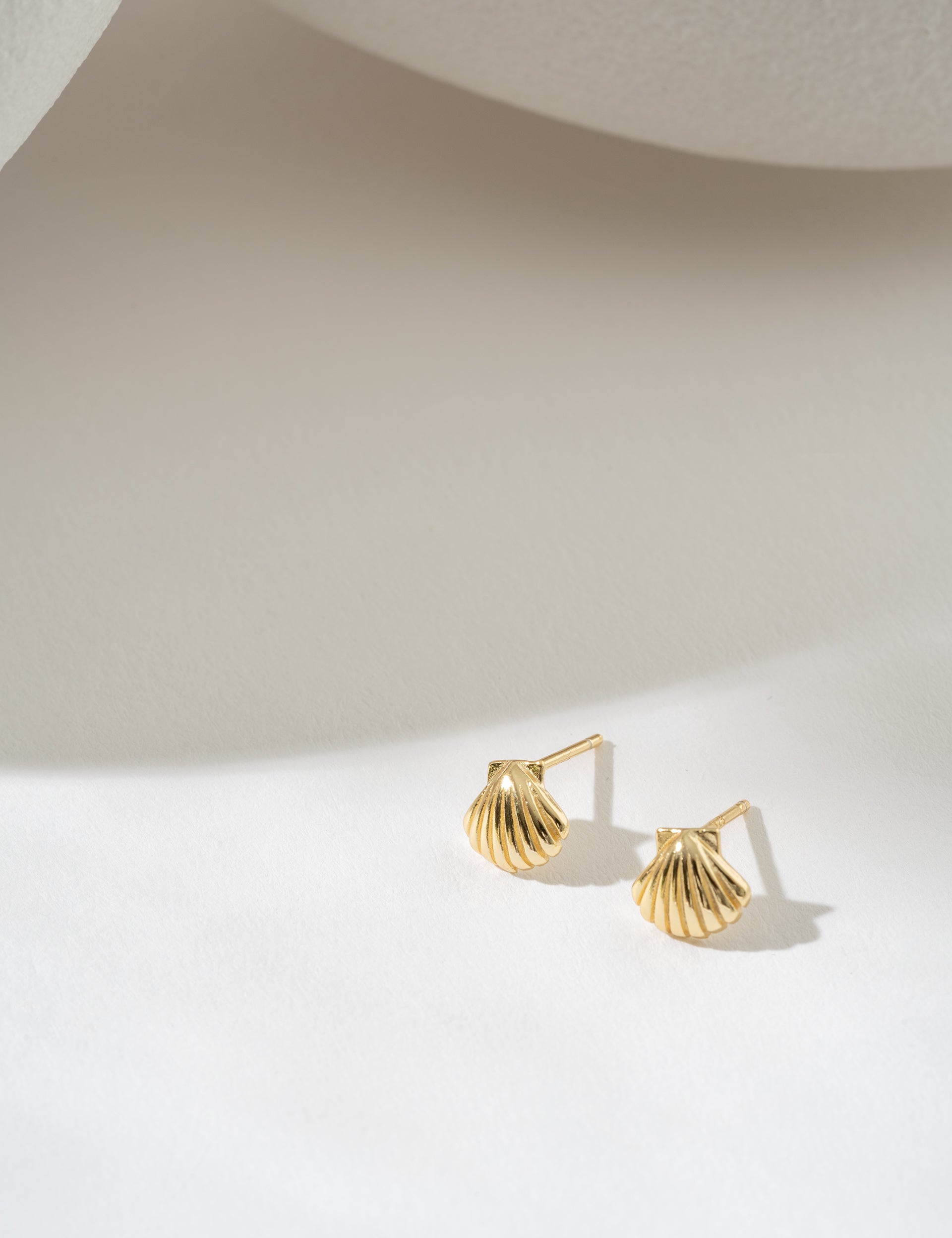 Shell earrings in gold on white background