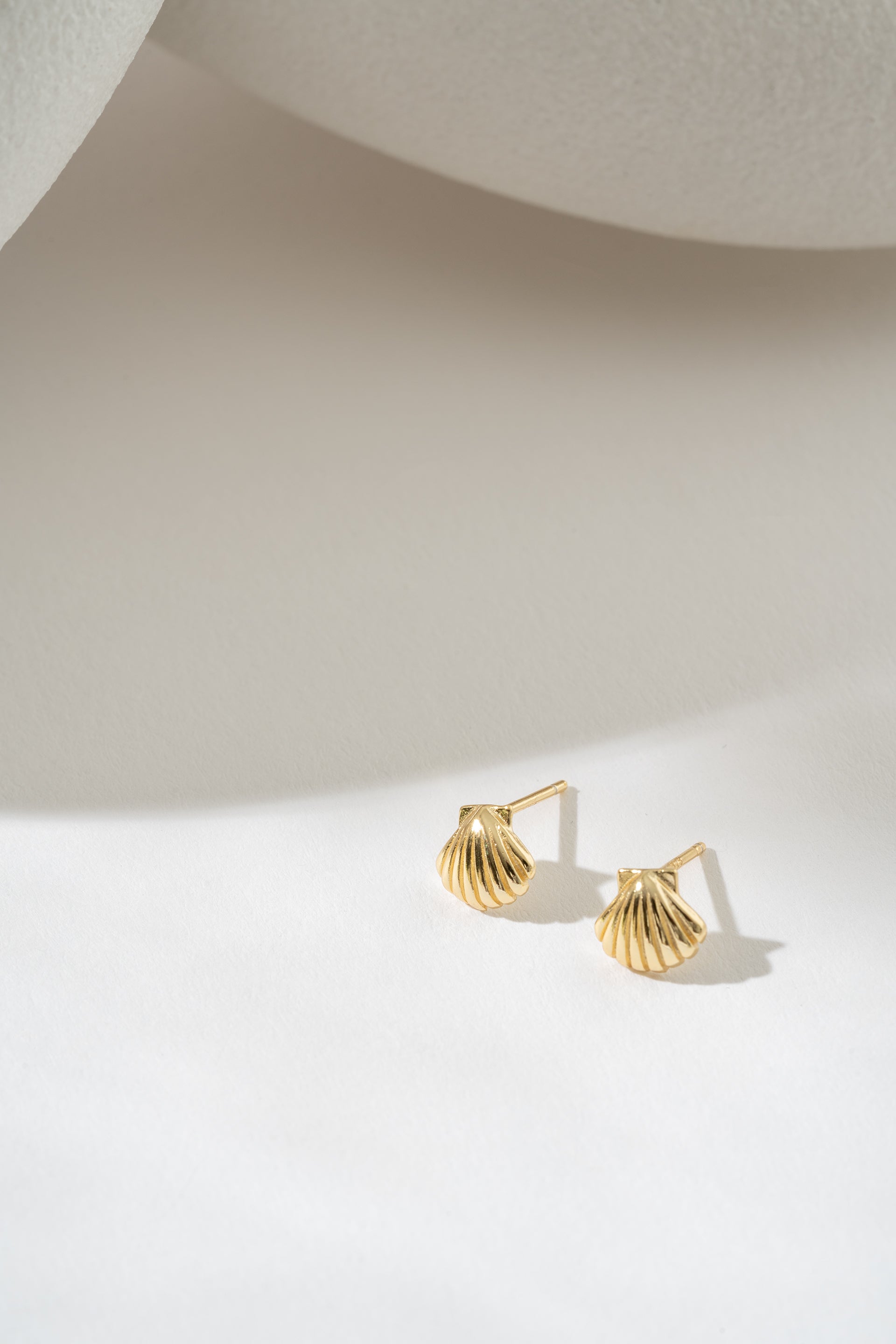 Shell earrings in gold on white background