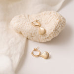 Alana Seashell Necklace with a seashell pendant on a 14kt gold-filled chain.